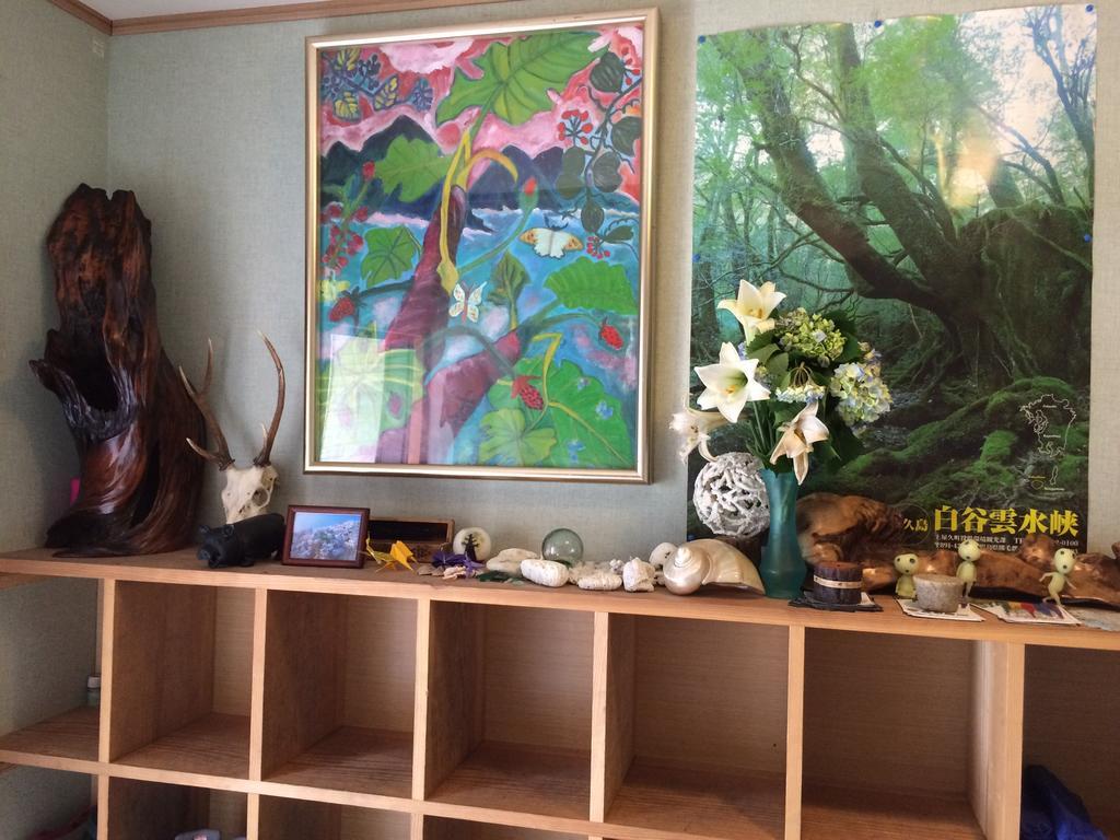 屋久岛町 宇美河旅馆酒店 外观 照片
